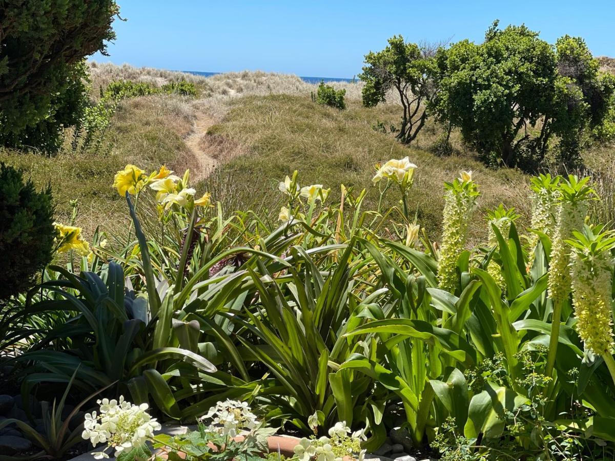 Absolute Beach Mount Maunganui Exterior photo